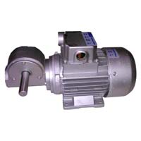 Ac Gear Motor