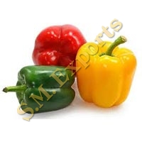 Capsicum