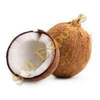 Coconut