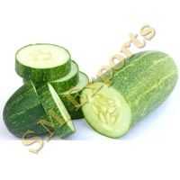 Cucumber