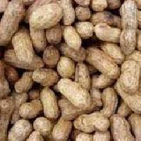 Groundnut Shell