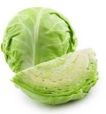 Fresh Cabbage