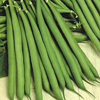 French Green Beans