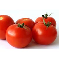 Fresh Tomato