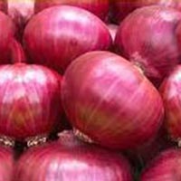 Fresh Big Red Onion