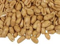 Salted Peanuts