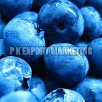 Fresh Blueberry