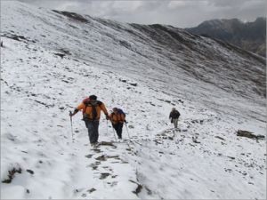 Glacier Tours