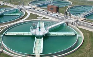 Industrial Sewage Treatment Plant