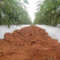 Mulching Film