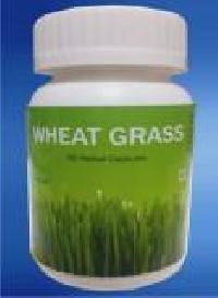 wheat grass capsules