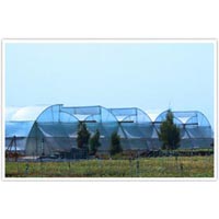 Greenhouse Construction Service