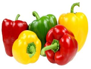 Fresh Bell Peppers