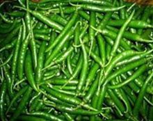 Fresh Green Chili