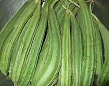 Fresh Ridge Gourd