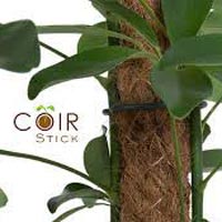 coir stick