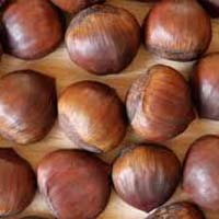 Brown nuts