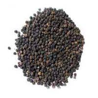 Black Pepper Seeds