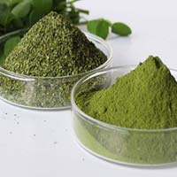 Moringa Leaf Powder