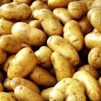 Fresh Potato