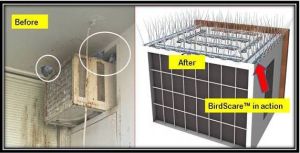 Bird Deterrent Spike Set