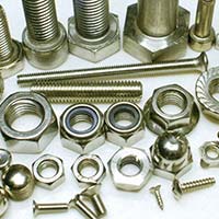 Stainless Steel Fastener