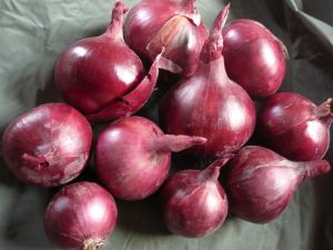 Fresh Onions