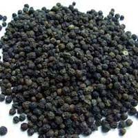 Black Pepper Seeds