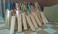 Kashmiri Cricket Bat