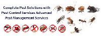 general pest control service