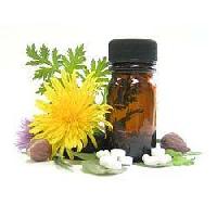 Herbal Food Supplements