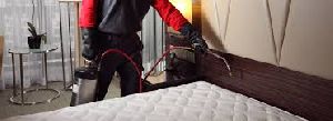 bed bugs pest control services