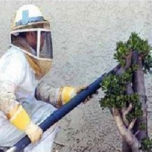 Honey Bee Control Services