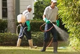 Outdoor pest control services