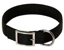 Dogs Collars