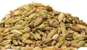 Fennel Seeds