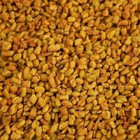 Fenugreek Seeds