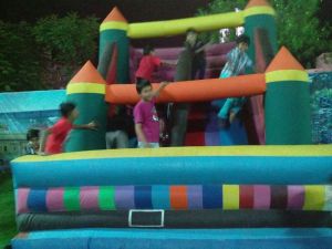 Inflatable  Jumping Plus Sliding Bouncy