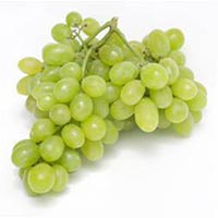 Fresh Grapes