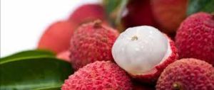 Fresh Litchi