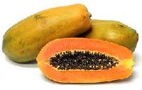 Papaya Fruit