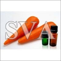 Carrot Seed Oil