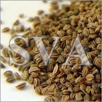 Celery Seed Oil