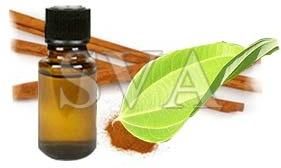 Cinnamon Bark Oil