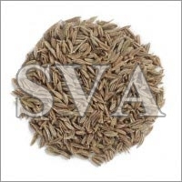 Cumin oil