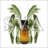 Eucalyptus Oil