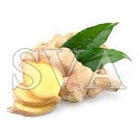 Ginger Oil