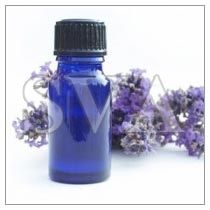 Lavender Oil