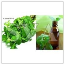 Peppermint Oil