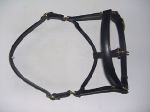 English Horse Bridle 06